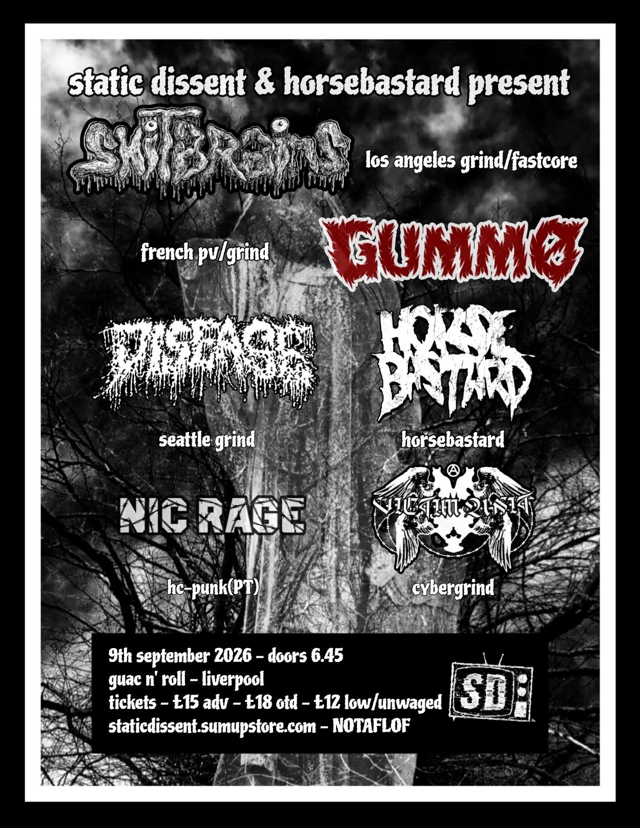 SHITBRAINS, GUMMO, DISEASE, NICXRAGE, HORSEBASTARD, VICTIM UNIT — gig artwork