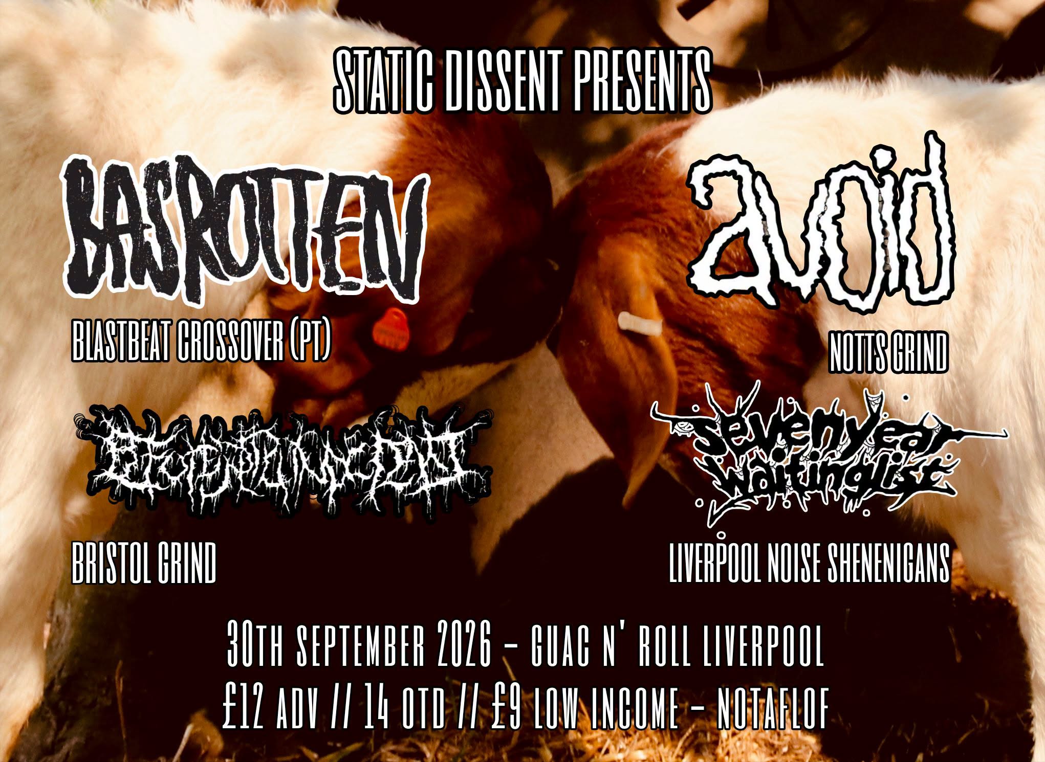 BAS ROTTEN / AVOID /  BYFORD DOLPHIN INCIDENT / SEVENYEARWAITINGLIST