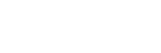 Chunk