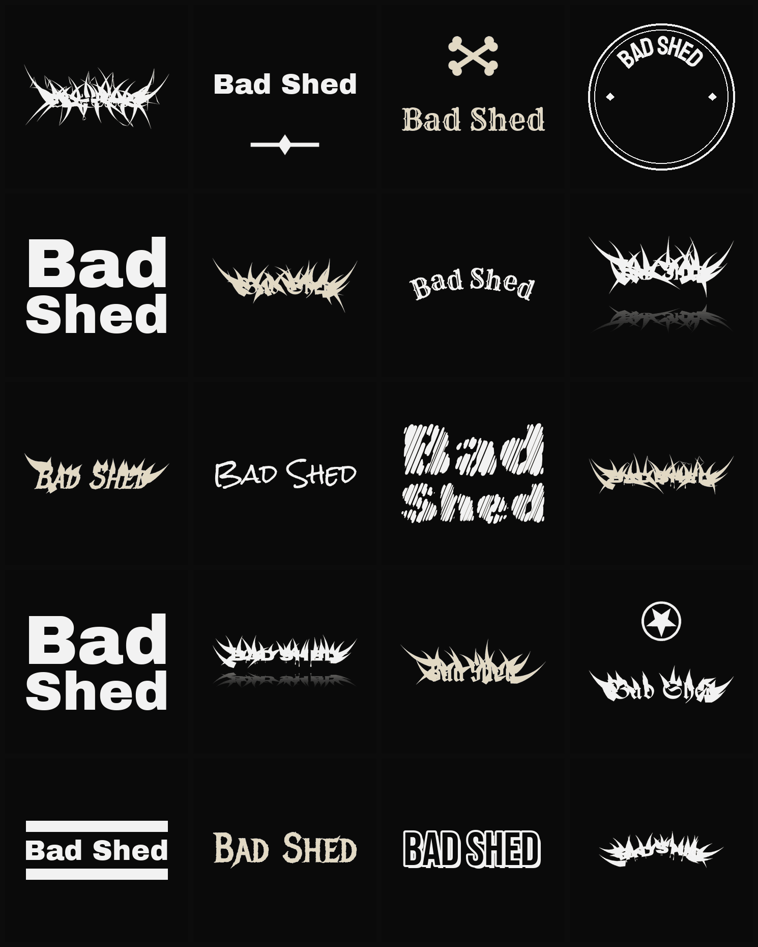 Twenty Bad Shed band logo ideas — different faces, treatments and spike settings