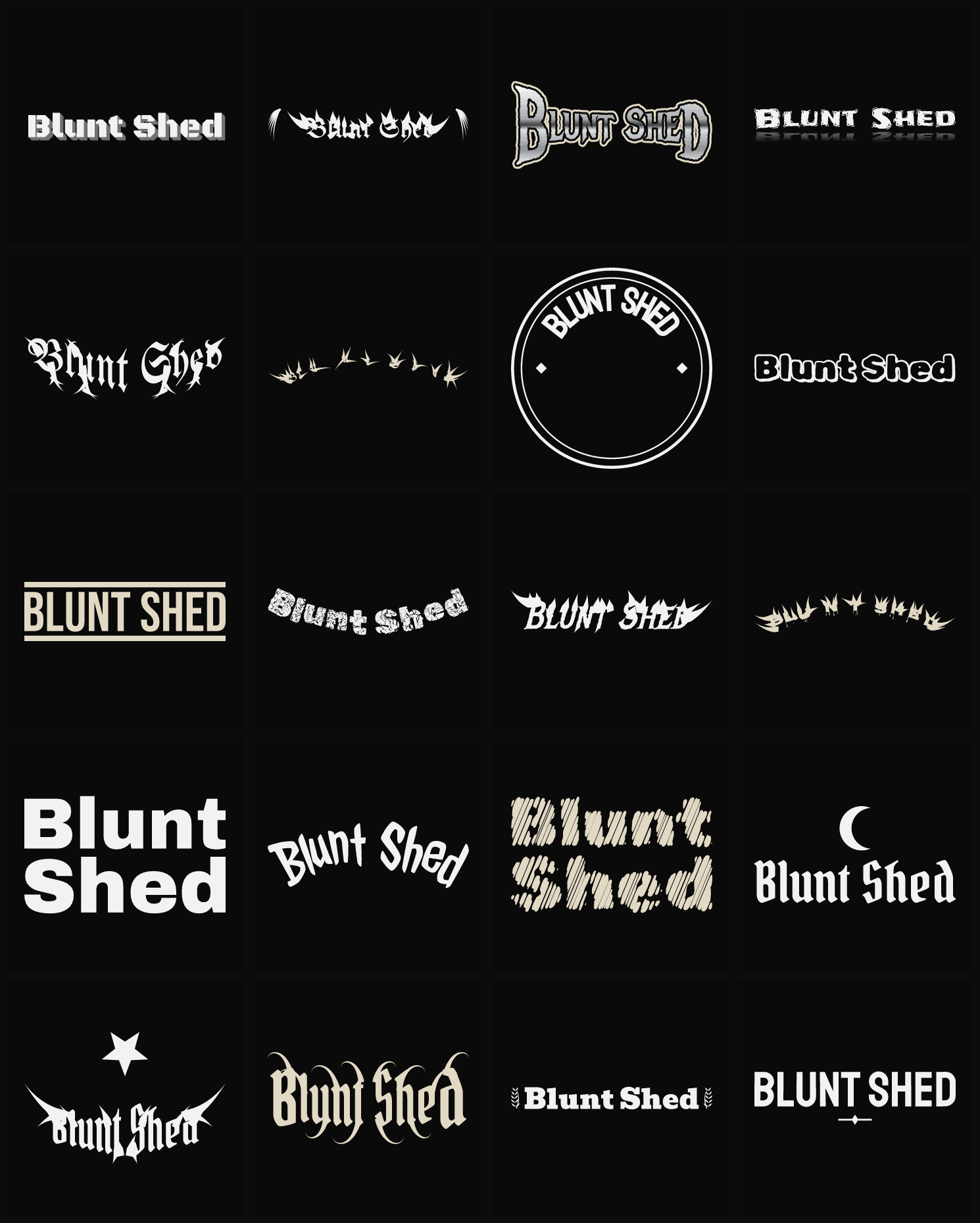 Twenty Blunt Shed band logo ideas — different faces, treatments and spike settings