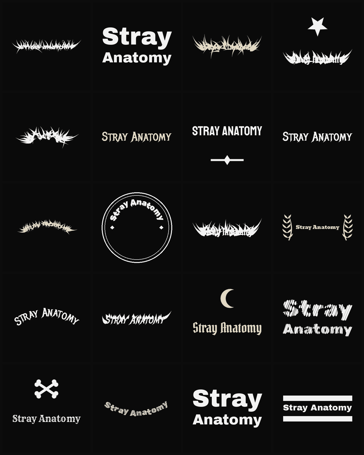 Twenty Stray Anatomy band logo ideas — different faces, treatments and spike settings