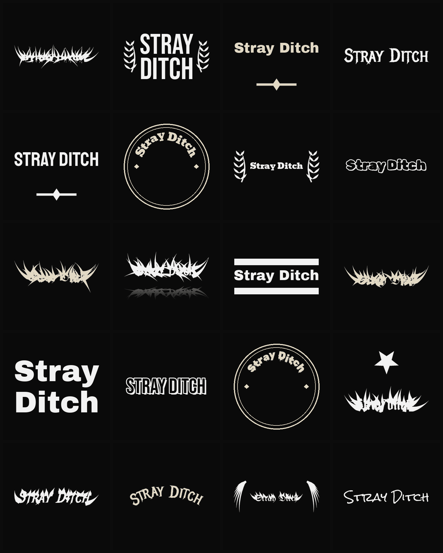 Twenty Stray Ditch band logo ideas — different faces, treatments and spike settings