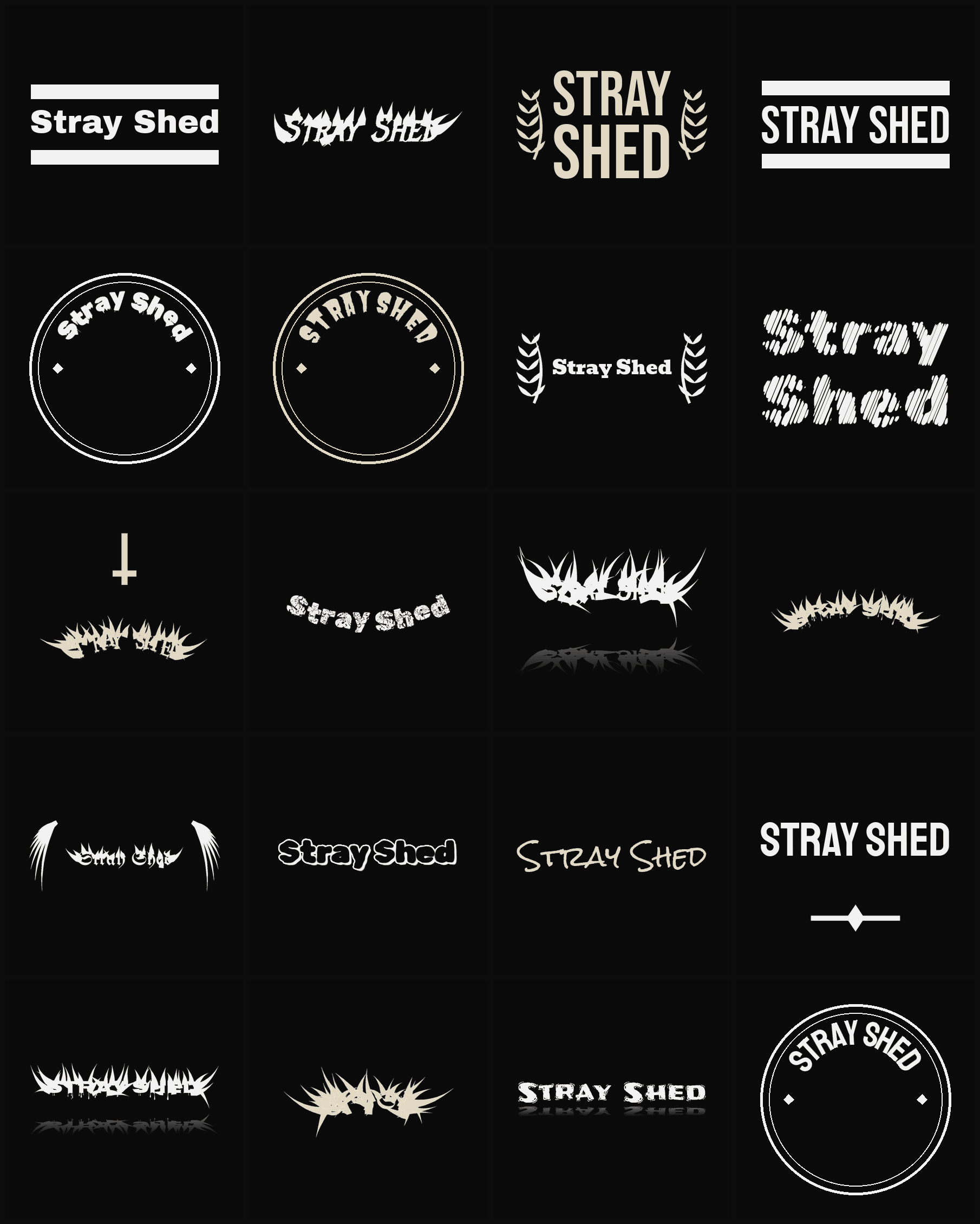 Twenty Stray Shed band logo ideas — different faces, treatments and spike settings
