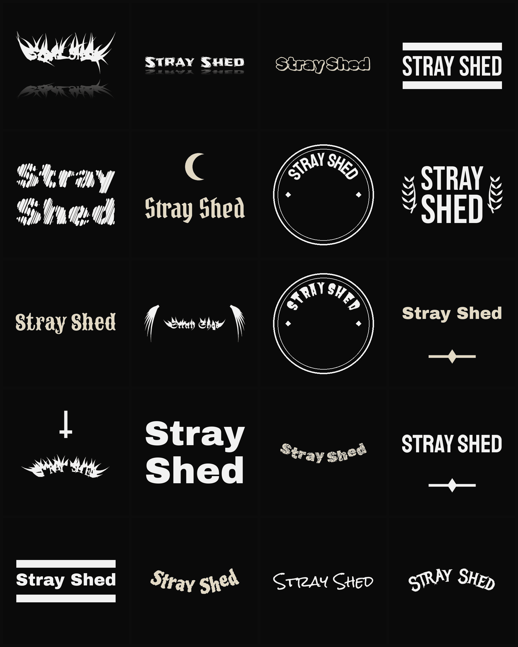 Twenty Stray Shed band logo ideas — different faces, treatments and spike settings