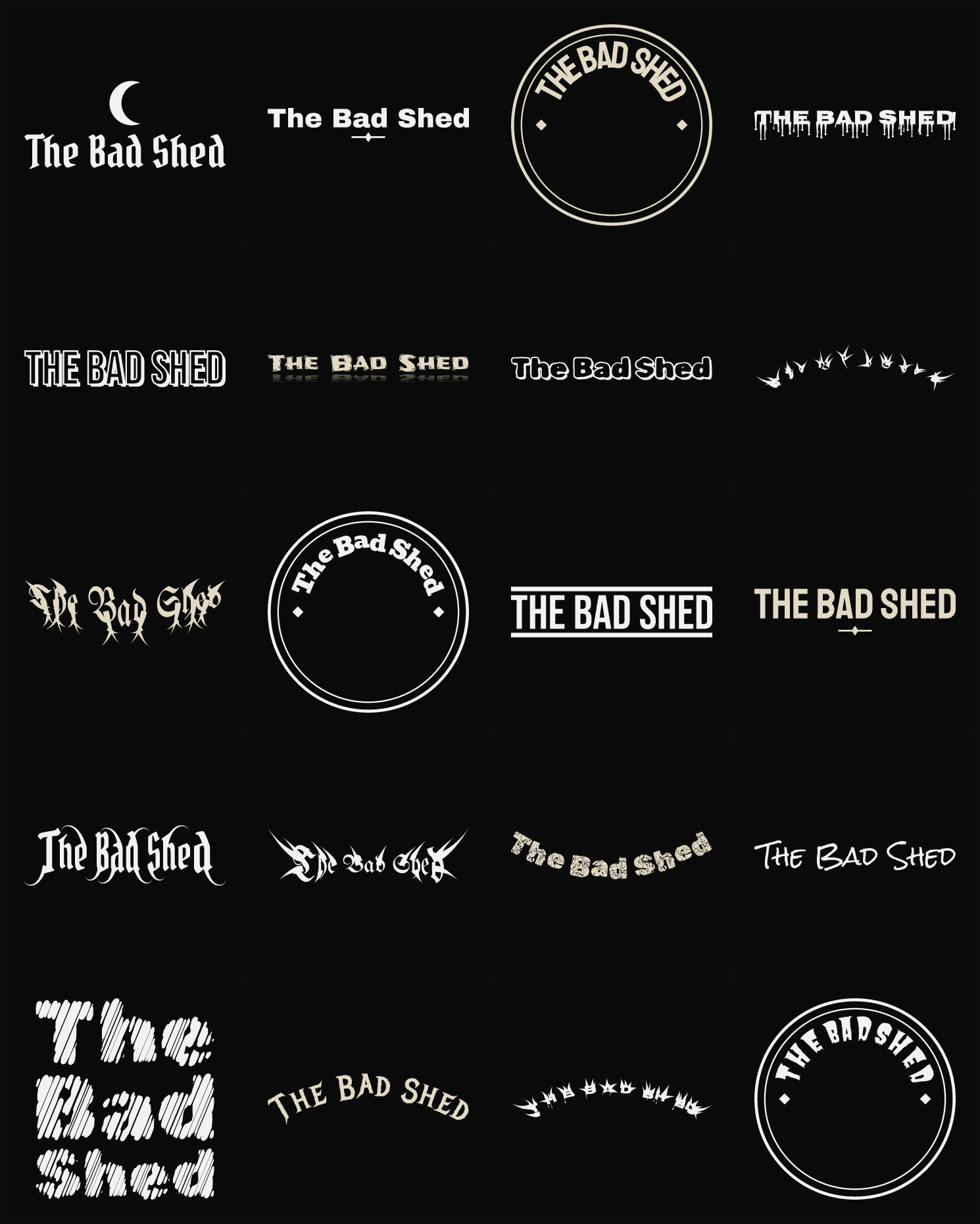 Twenty The Bad Shed band logo ideas — different faces, treatments and spike settings
