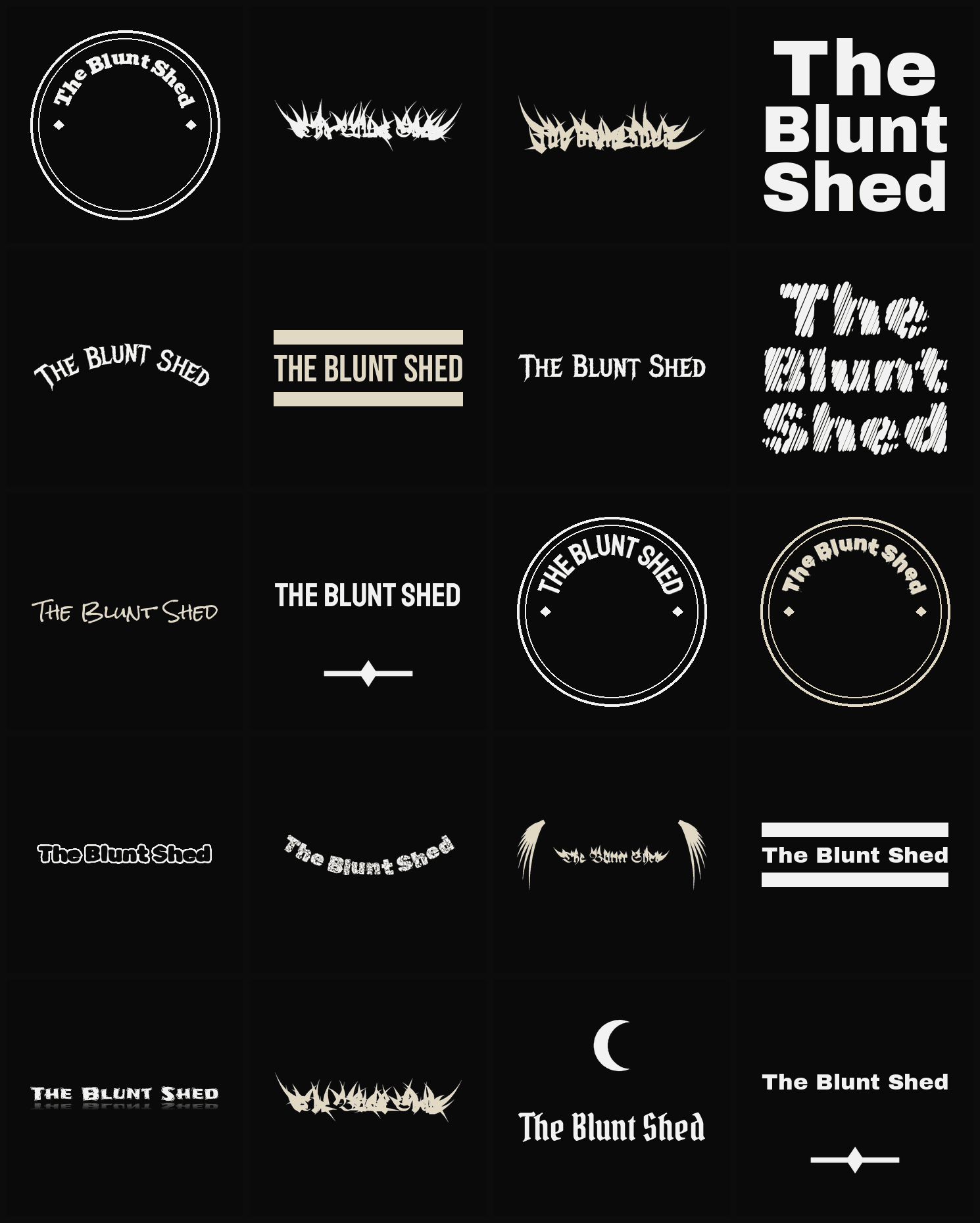 Twenty The Blunt Shed band logo ideas — different faces, treatments and spike settings